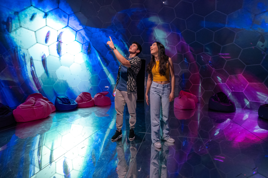 Giant Bubble Room at Bubble Planet Berlin